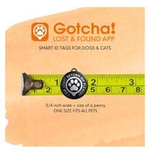 Gotcha Pet ID Tag for Dogs & Cats