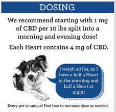 SUZIE'S 4MG CBD DOG TREAT HEARTS- Pumpkin Flavor