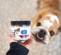 SUZIE'S 2 MG CBD SOFT CHEWS- Beef Bone Broth Flavor