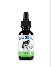 SUZIE'S 250 MG CBD OIL FOR DOGS