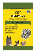 Pet Popcorn- Alligator